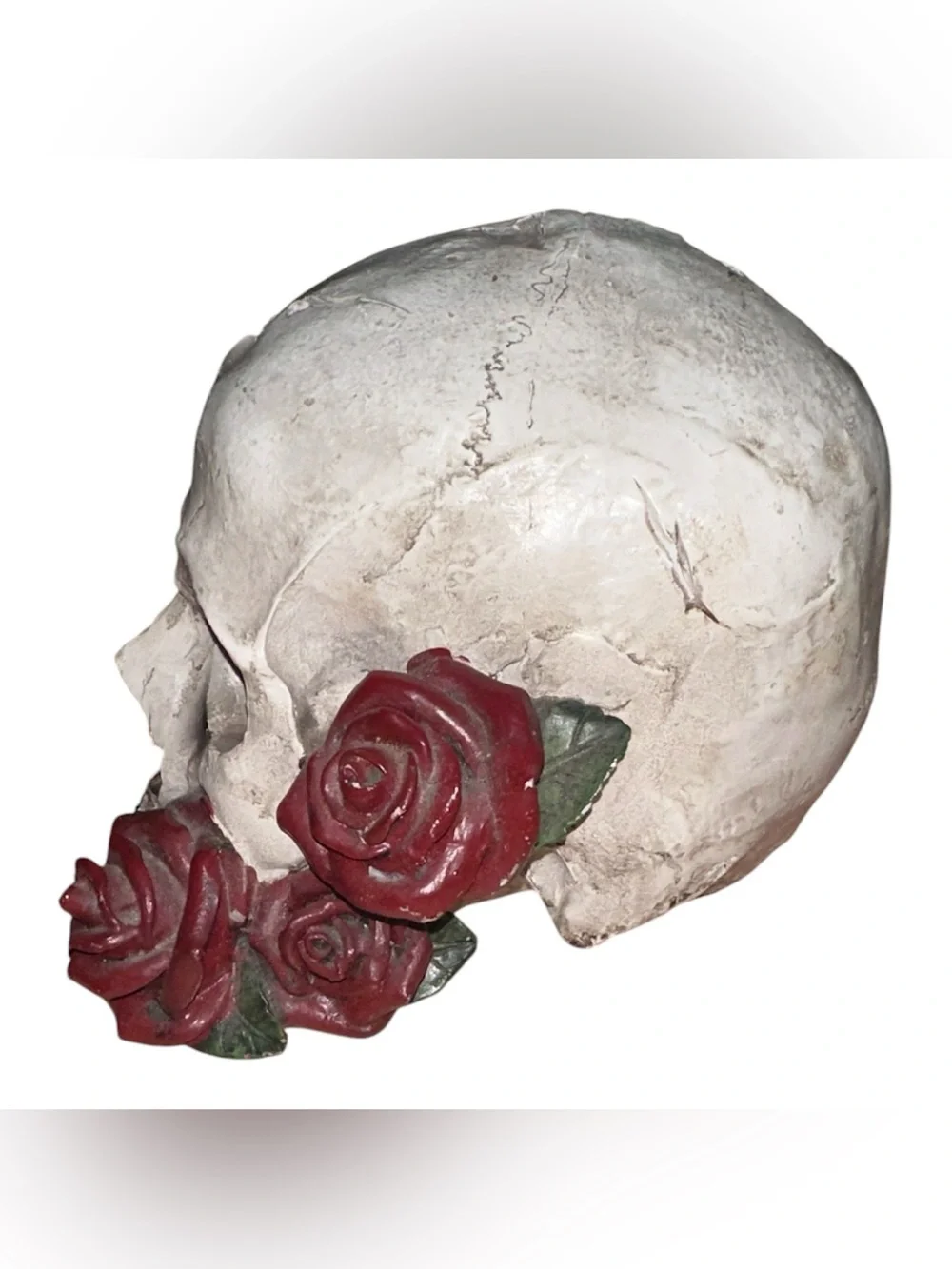 Decorative Skull with Red Roses Accent